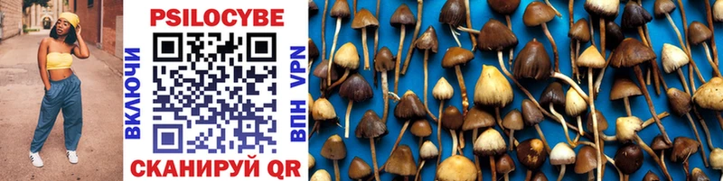 Псилоцибиновые грибы GOLDEN TEACHER Кунгур