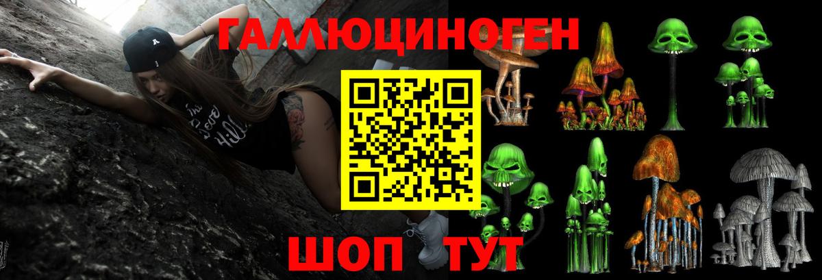 Кунгур  Галлюциногенные грибы MAGIC MUSHROOMS  Псилоцибиновые грибы мицелий  Вход с VPN 